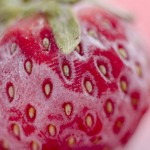 【冷凍保存の基本】野菜やバラ冷凍 下味付けのやり方