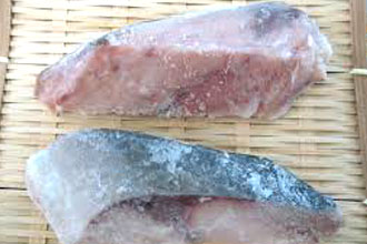 魚の冷凍保存